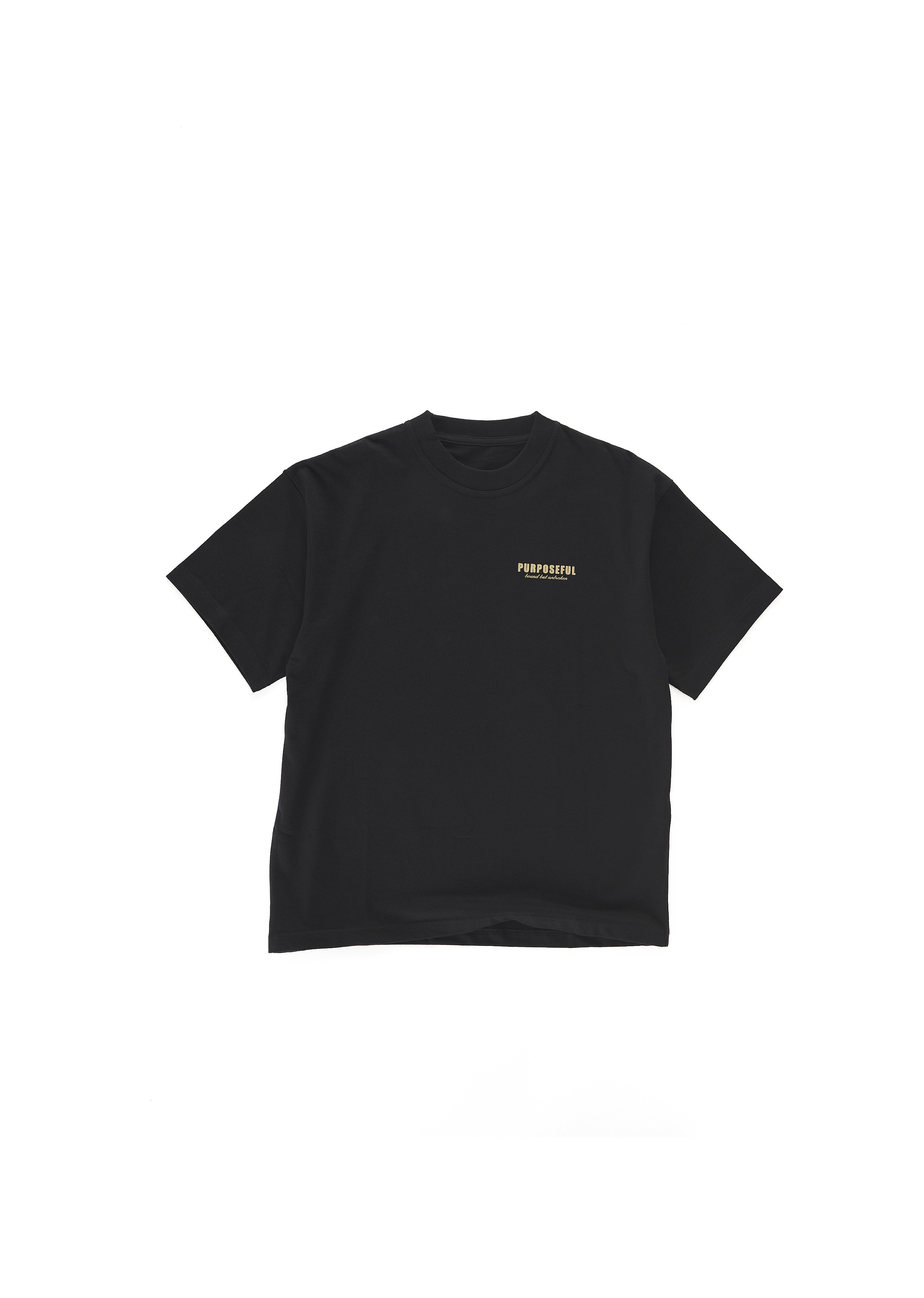 Laocoön T-Shirt