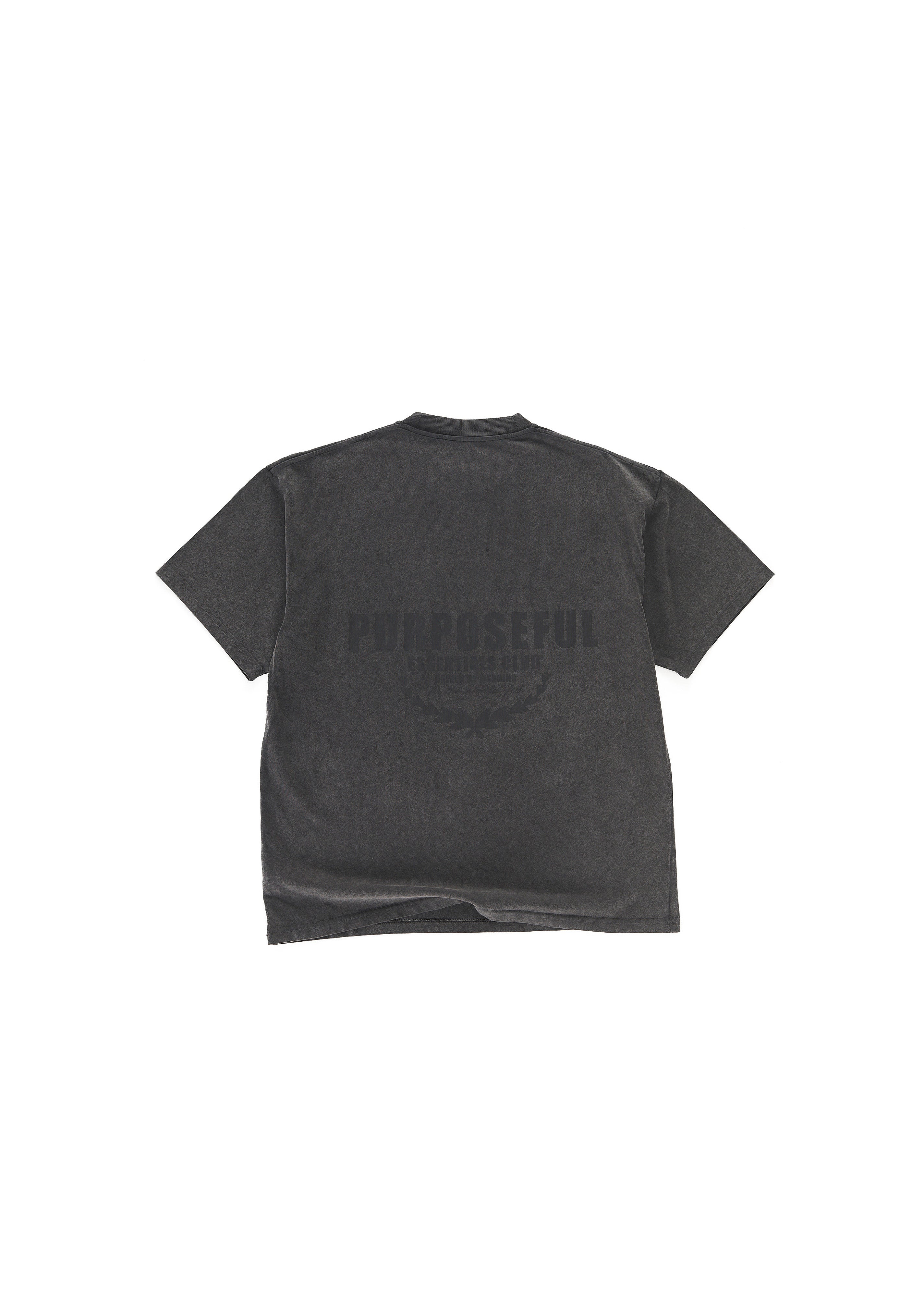 Washed Out Essentials Club T-Shirt